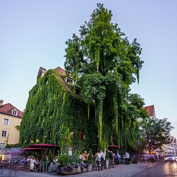 [Translate to Englisch:] Pfistermühle  